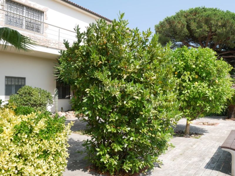 Foto f491044d-383f-4206-b4c3-e4f8c32b7fbd. Xalet a Lloret Residencial - Montlloret Lloret de Mar