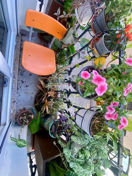 Foto fe4e4684-5e8a-44ff-9447-b40fd7c14a02. Appartement avec chauffage dans Trinitat Valencia