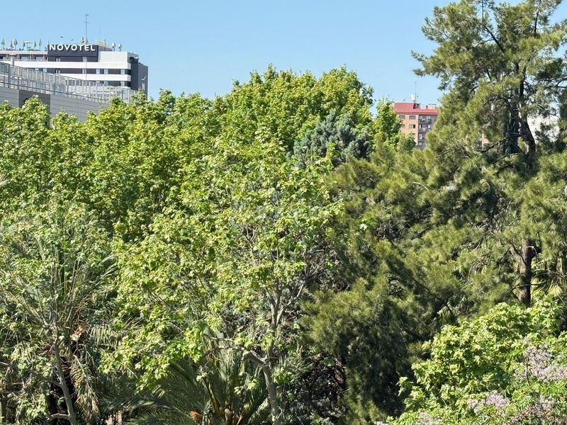 Piso amplio piso les tendetes en Les Tendetes - Avenida Burjassot Valencia - Imagen 25