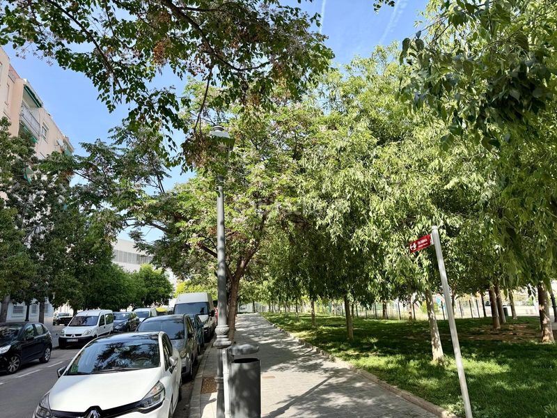 Foto 1675497a-933b-43d1-83fc-073f97ce11d6. Pis a Benimàmet Valencia