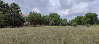 Residential Plot  Terreno diseminados