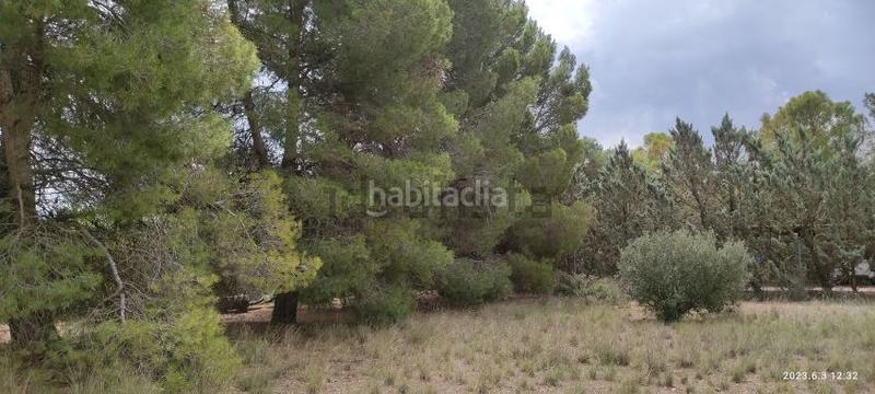 Foto 9c886042-62d3-4e87-9941-7c3d83f99bac. Wohngrundstück in Pedanías - Extrarradio Albacete