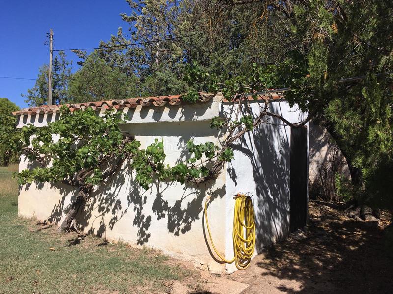Foto 02009bb9-f45c-466f-a96e-d262a0ff9f92. Chalet avec parking piscine dans Pedanías - Extrarradio Albacete