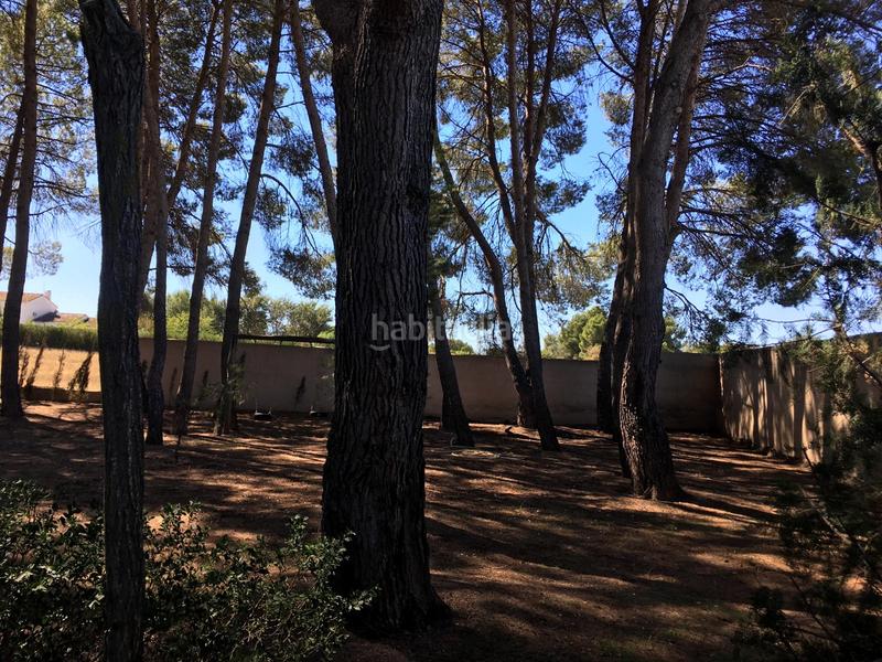 Foto 47729623-9584-4d72-841d-66a502da4fc1. Chalet con parcheggio piscina in Pedanías - Extrarradio Albacete