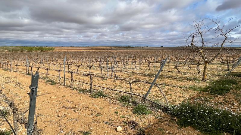 Foto 3b460ade-abf6-40e4-bb1c-3af9dd64dec8. Finca rústica viñedo en Tarazona de la Mancha