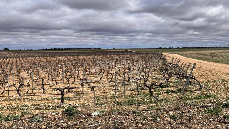 Foto 40e77106-e3da-4b29-b35a-70daf94572c2. Finca rústica viñedo en Tarazona de la Mancha