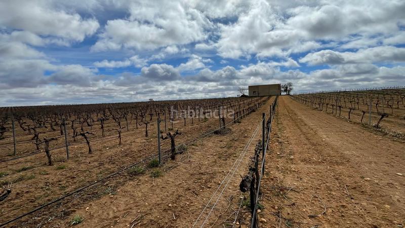 Foto 44ecc9ae-8cbb-4981-8640-97f9a5bca2ff. Finca rústica viñedo en Tarazona de la Mancha