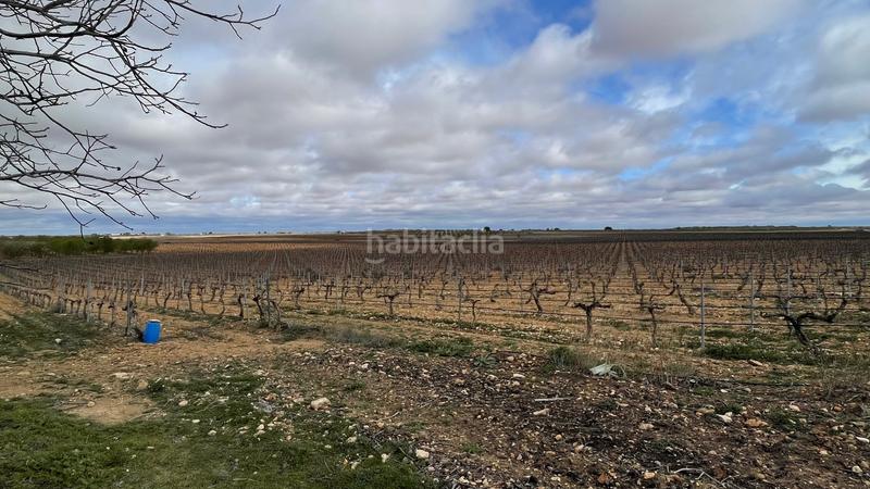 Foto b62c2755-d867-4f39-af73-caa67fa07f8b. Finca rústica viñedo en Tarazona de la Mancha