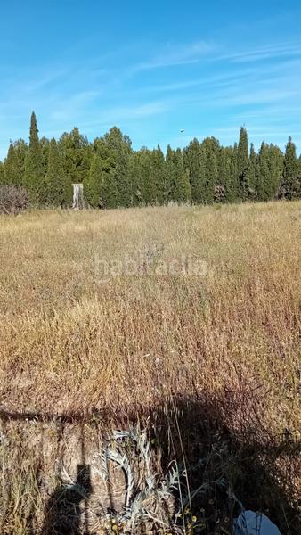 Foto a61b74cb-4ecc-4132-bbf1-d47754a2970a. Terreno residenziale in Pedanías - Extrarradio Albacete