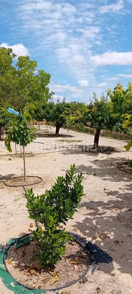 Foto 1014c03d-cc99-4351-b6ec-385829b6a162. Chalet en Pedanías - Extrarradio Albacete