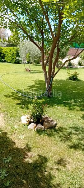 Foto f4929c06-4f25-4ff8-9f6e-1ea5cde1c009. Chalet en Pedanías - Extrarradio Albacete