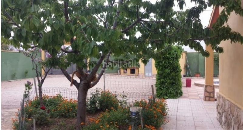 Foto 25343e38-b367-457a-997e-dd3db47c0b22. Chalet en calle e 47 en Pedanías - Extrarradio Albacete
