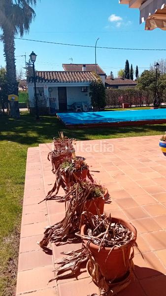 Foto 866fa5c8-5606-4a44-8ad2-772ef00f26eb. Chalet en Pedanías - Extrarradio Albacete