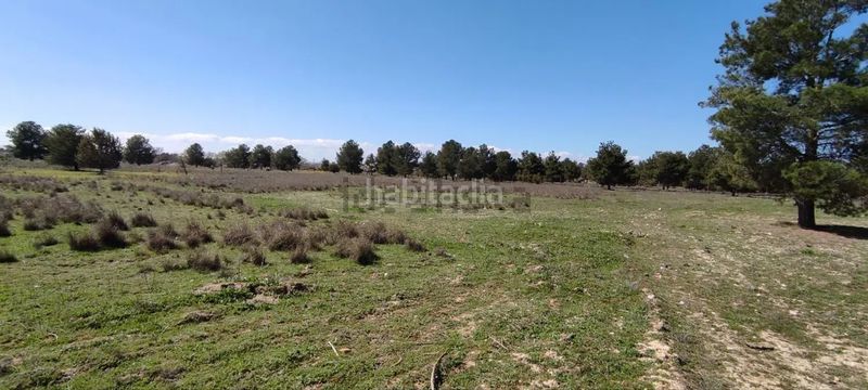 Foto c5234ca8-2cef-4be1-8bfb-1ed051ad1fbf. Finca rústica a Pedanías - Extrarradio Albacete