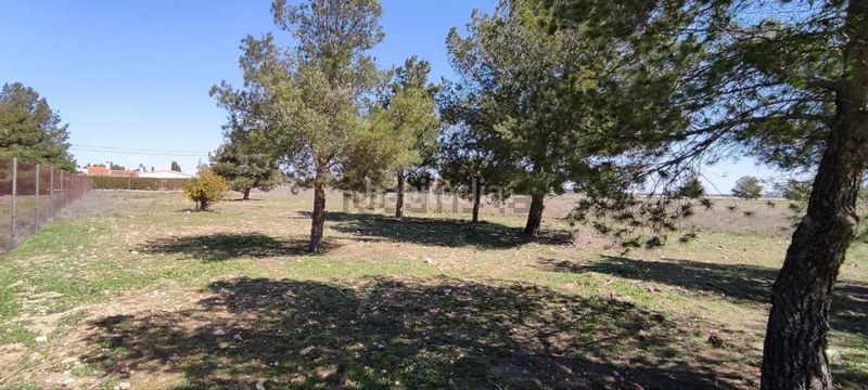 Foto f7ce359c-a0a8-4d56-abd7-33d1d57eb54f. Finca rústica a Pedanías - Extrarradio Albacete