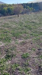 Rural plot in Pedanías - Extrarradio