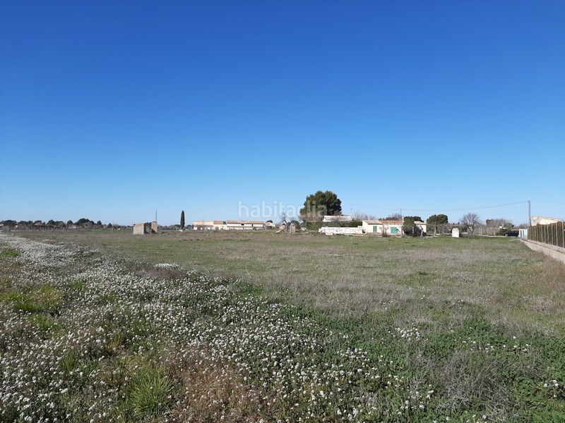 Foto 8f058aee-9394-4516-b5ef-fb559e3719ee. Finca rústica a Pedanías - Extrarradio Albacete