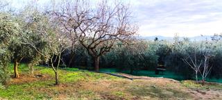 Finca rústica  Avinguda l'onze de setembre. Terreno en venta en bigues i riells (can barri)