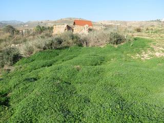 Finca rústica a Perín. Terreno rústico de 16,800m² en venta en galifa, cartagena, murci