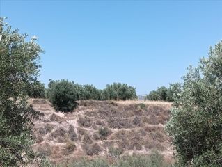 Terreny residencial  *. Finca rústica en jódar