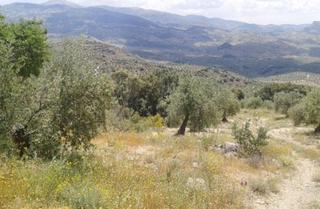 Residential Plot in Castillo de Locubín