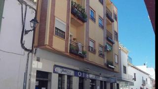 Pis  Ancha. Piso en ancha, palma del río