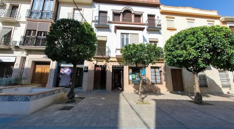 Foto 3d3cdd1a-ebb7-44e8-87b0-023cfa07b816. Pis a Baena