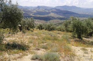Terreny residencial a Castillo de Locubín. Lugar al sitio portillo del estepar, castillo de locubín, jaén