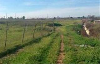 Wohngrundstück  Viejo de almodovar