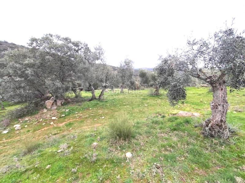 Foto 05634799-5156-4236-a3b4-0524e1175be1. Wohngrundstück in Puente Tablas - Puente Nuevo - Cerro Molina Jaén