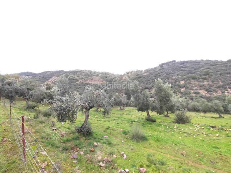 Foto 1d12ca9b-e3e5-43b5-848e-4370c63c803b. Wohngrundstück in Puente Tablas - Puente Nuevo - Cerro Molina Jaén