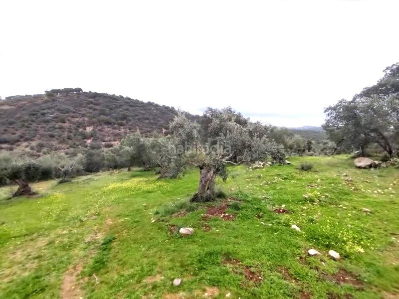 Foto 4a56a98a-39e7-4e62-8ab0-be56f3eec3dc. Wohngrundstück in Puente Tablas - Puente Nuevo - Cerro Molina Jaén