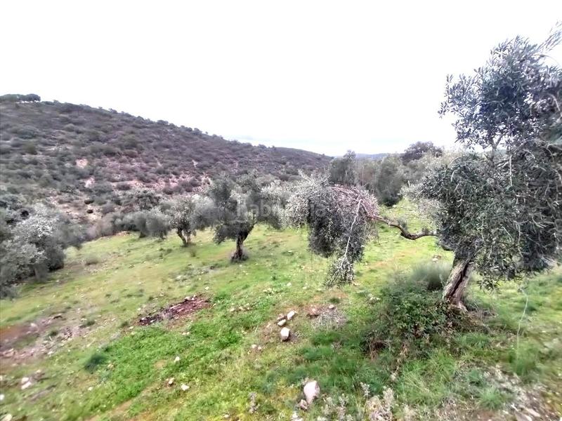 Foto 785c8d1c-f7ae-4ed7-87a9-35e467fea04a. Wohngrundstück in Puente Tablas - Puente Nuevo - Cerro Molina Jaén