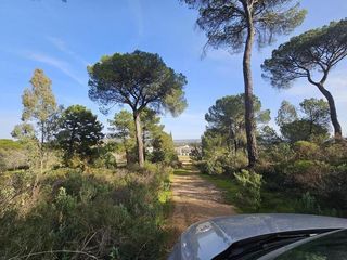 Terreno residenziale in Cerro Muriano. Suelo urbanizable residencial en cerro muriano