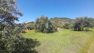 Terreny residencial  .. Lugar paraje pilara, sorihuela del guadalimar
