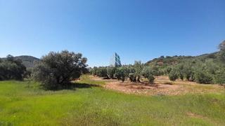 Terreny residencial  .. Lugar paraje pilara, sorihuela del guadalimar