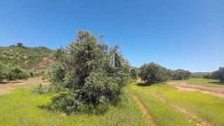 Wohngrundstück  .. Lugar paraje pilara, sorihuela del guadalimar