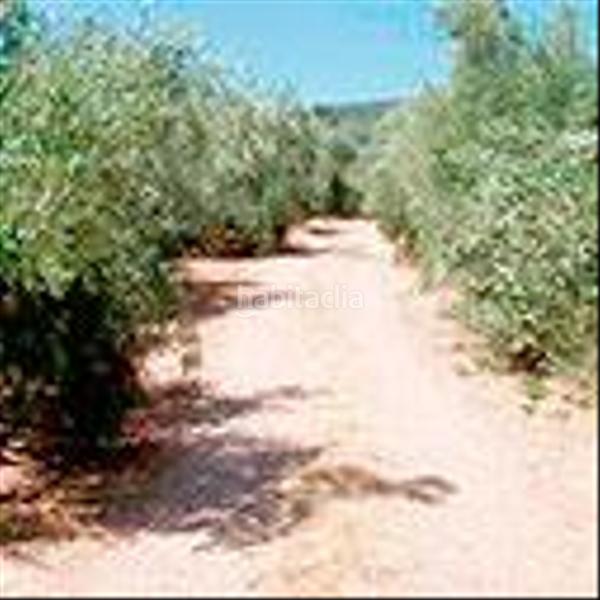 Foto 7b8d00f9-f710-4f41-a4eb-9feb65fc0a15. Terreny residencial a Beas de Segura