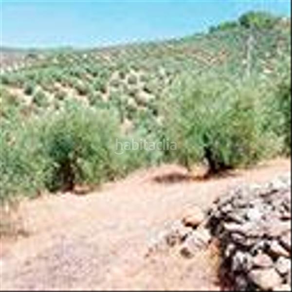 Foto 82ecd26e-47e2-49ea-a6cd-d8a72711dcbc. Terreny residencial a Beas de Segura