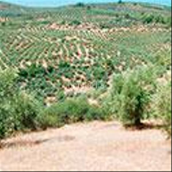 Foto a17a6625-1dcb-41ab-9467-e2634ebc70ed. Terreny residencial a Beas de Segura