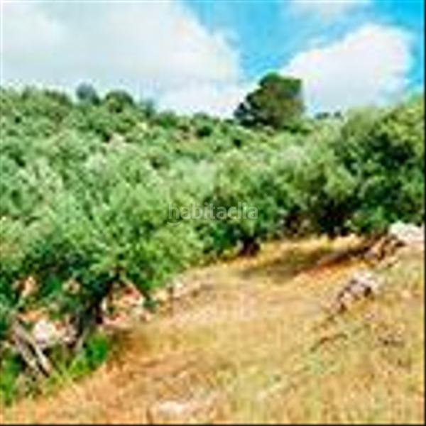 Foto c76c5ae3-bdff-4b67-b813-44c7394c5a28. Terreny residencial a Beas de Segura