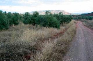 Terreny residencial a Vilches. Suelo en venta en vilches