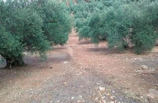 Wohngrundstück in Arroyo Del Ojanco