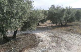 Terreno residenziale in Fuerte del Rey. Terreno en venta en fuerte del rey