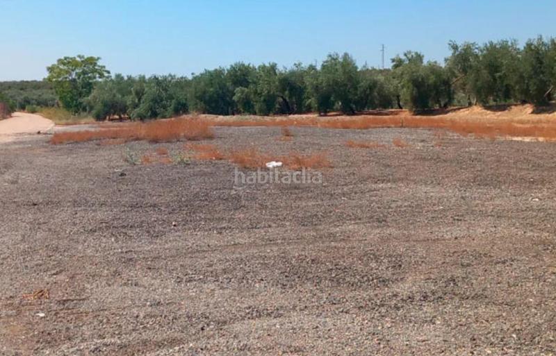 Foto 8a303931-ba14-46a3-afd6-6459dbe0e518. Wohngrundstück in Villanueva de la Reina