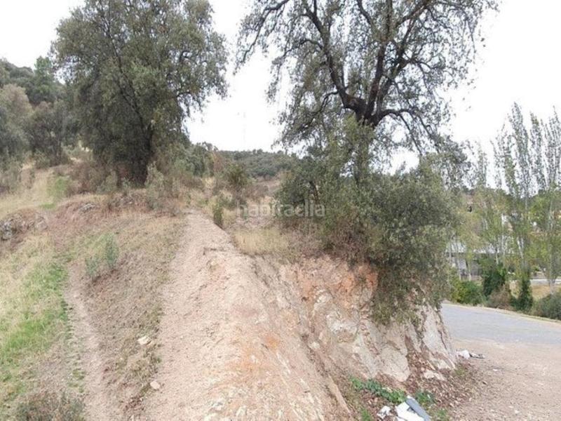 Foto fa4cbe7e-43f7-4de3-b7aa-94db5665b955. Terreno residencial solar en Obejo