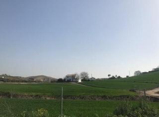 Terrain résidentiel  Del coto. Suelo en guadalcazar