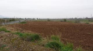 Terreno residencial  Alamillo. Suelo urbanizable en villarrubia, córdoba