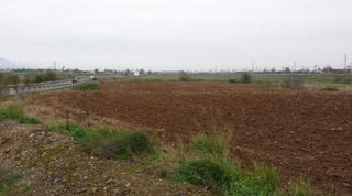 Terreny residencial a Del Alamillo