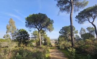 Terreny residencial  Obejo. Terrenos en cerro muriano, córdoba
